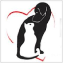 Best Care Animal Hospital