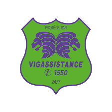 Vigassistance