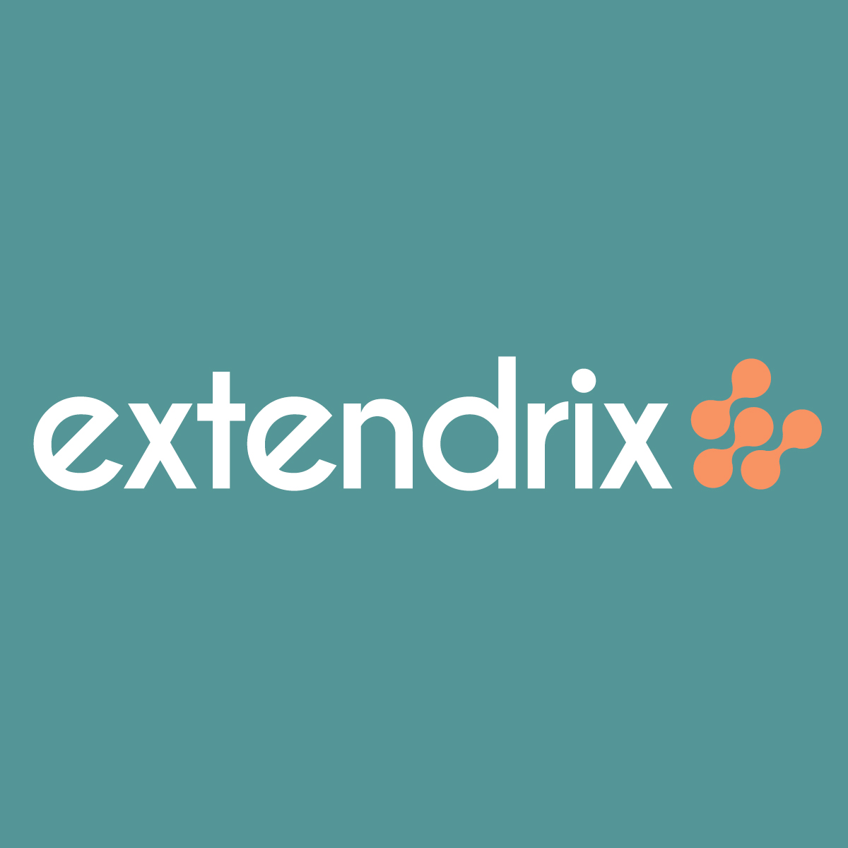 EXTENDRIX ECOMMERCE SERVICES