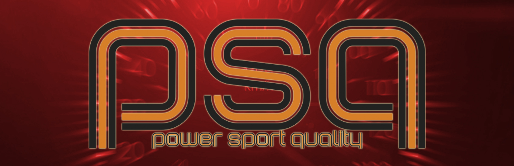 PowerSport Electronic S.L