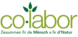 Co-labor