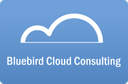Bluebird Cloud Consulting