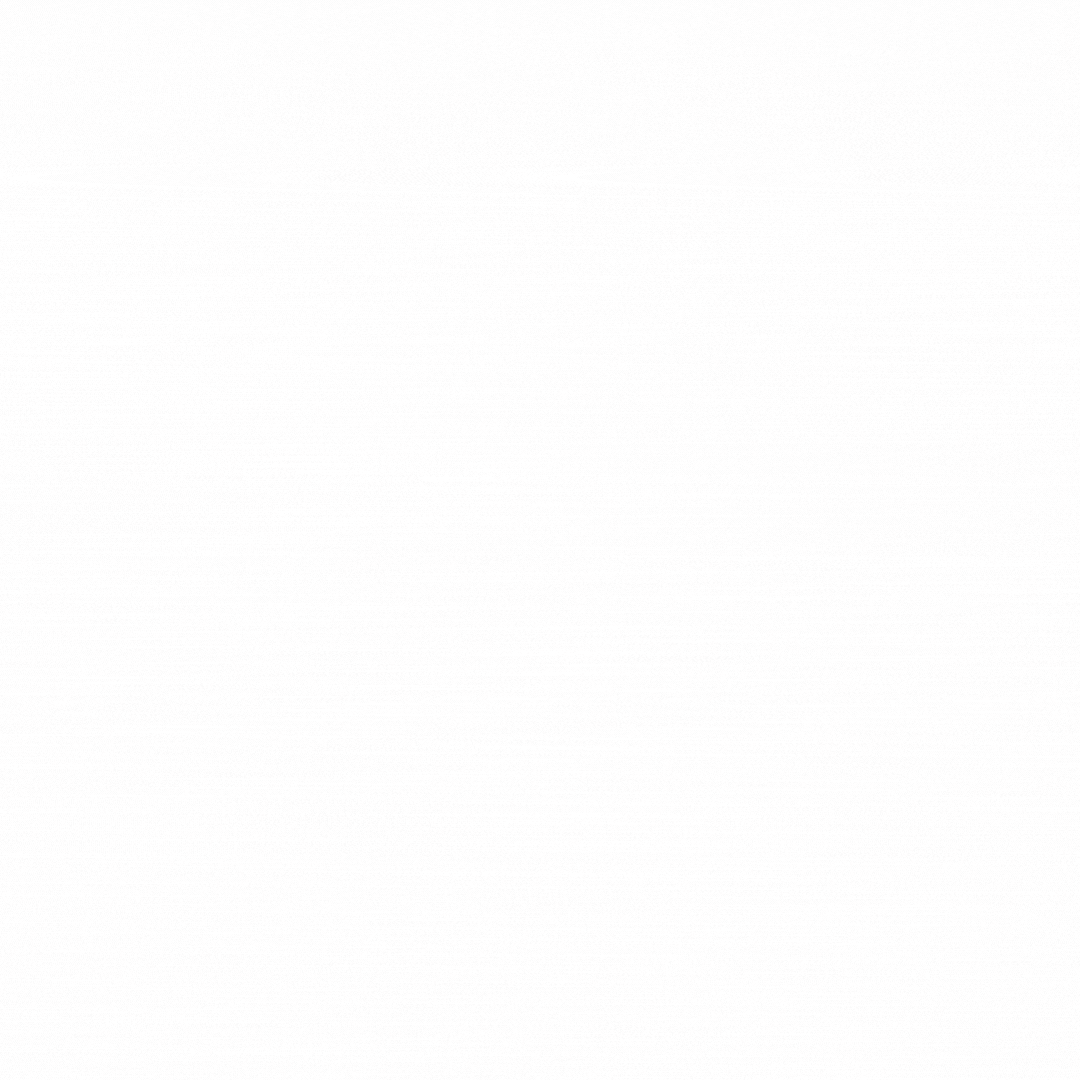 Bista Solutions Inc.