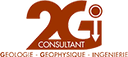 2GI Consultant