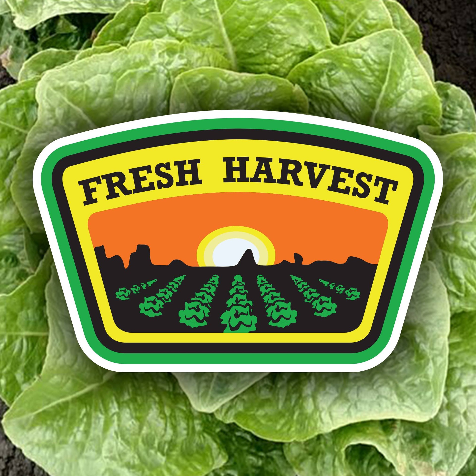 AGROALIMENTOS FRESH HARVEST