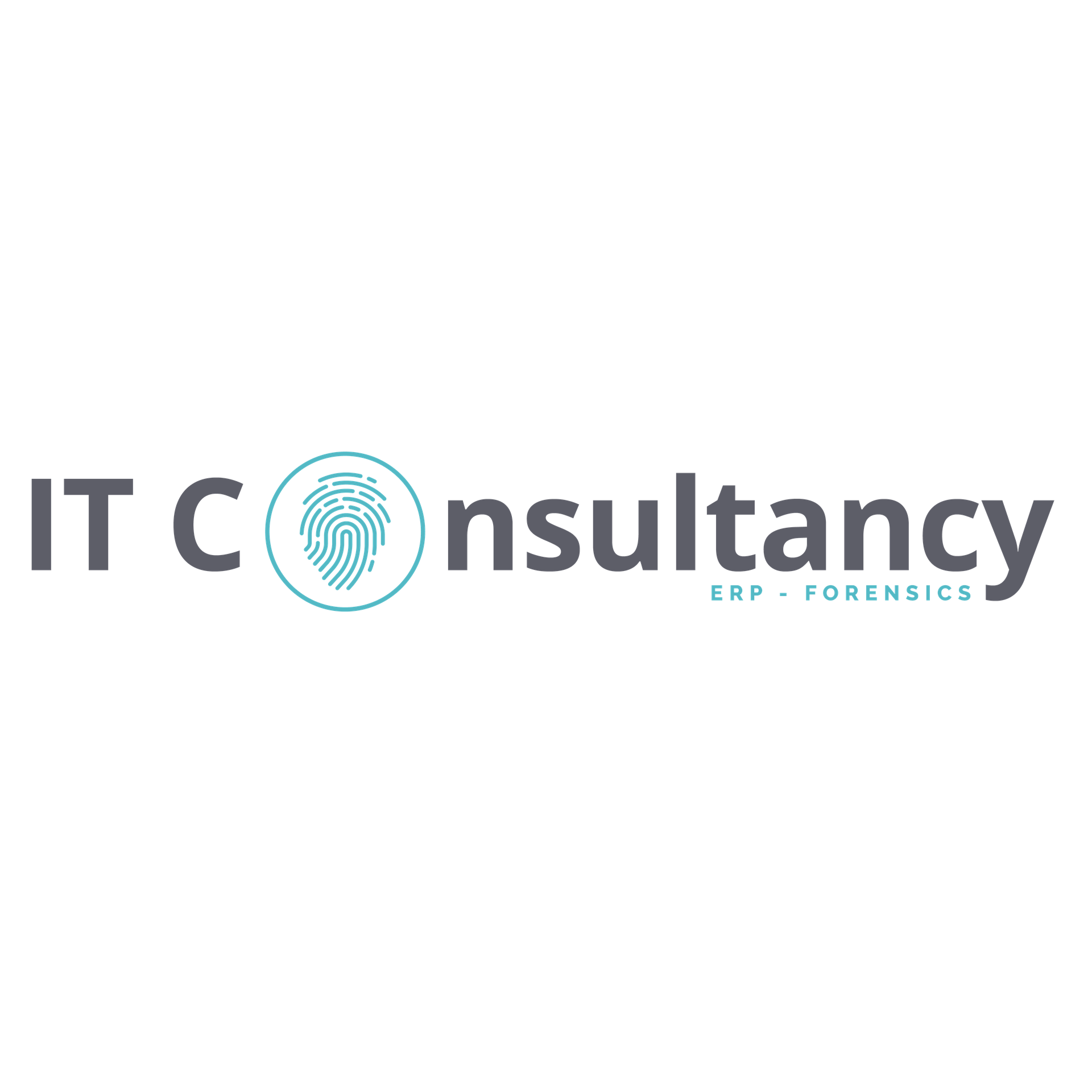 IT Consultancy Sàrl