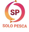 Solo Pesca