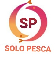 Solo Pesca
