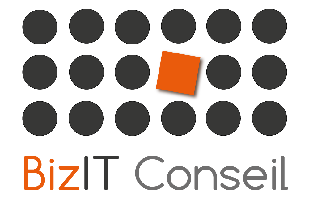 BizIT Conseil, Jan Stevens