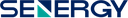 Senergy Holding Company
