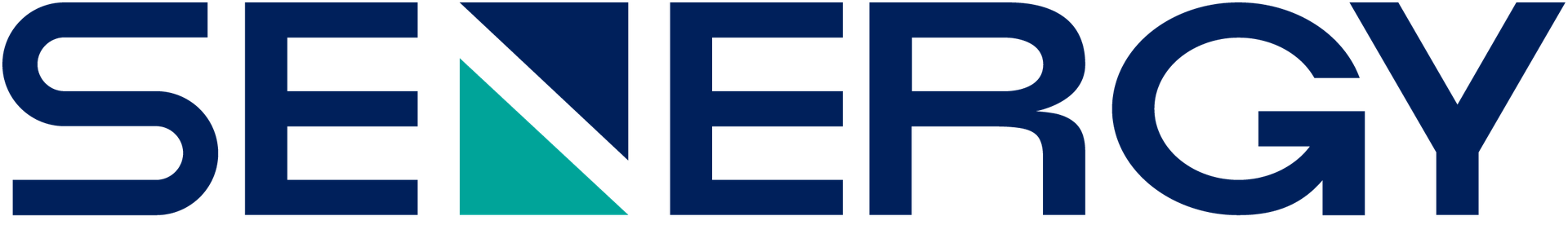 Senergy Holding Company