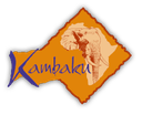 Kambaku Property Management cc