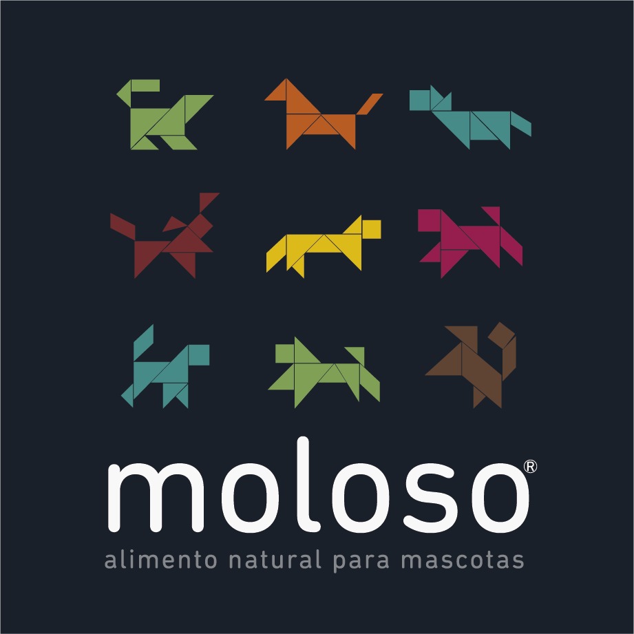 MOLOSO S.A.S.