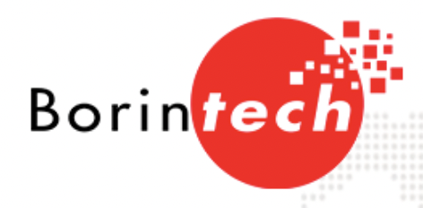 Borintech S.R.L.