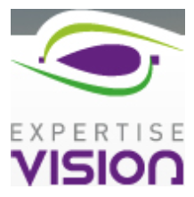 Expertise Vision