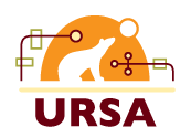 Ursa Information Systems