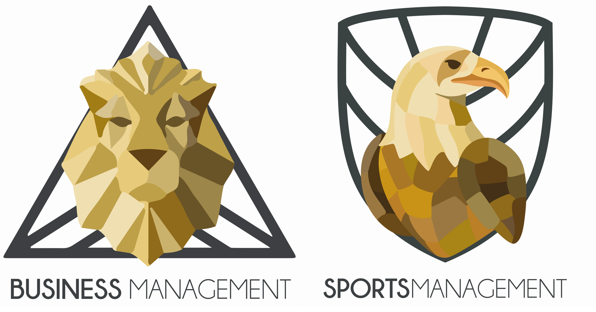 Management Solutions