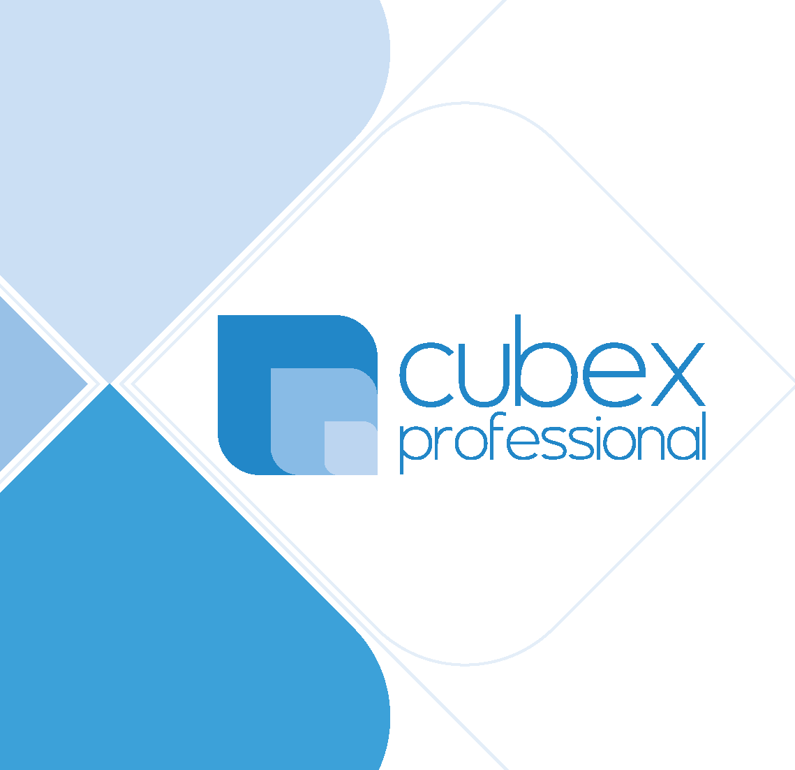 Cubex Professional S.r.l.