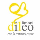 Parallelo Giallo di Guerra Samuele & c.