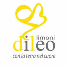 Parallelo Giallo di Guerra Samuele & c.