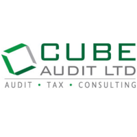 Cube Audit