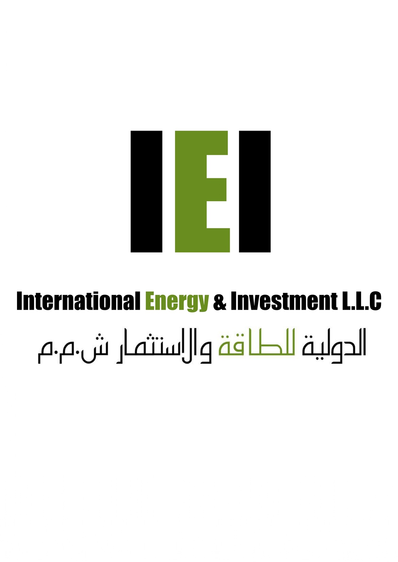 International Energy and Investment LLC