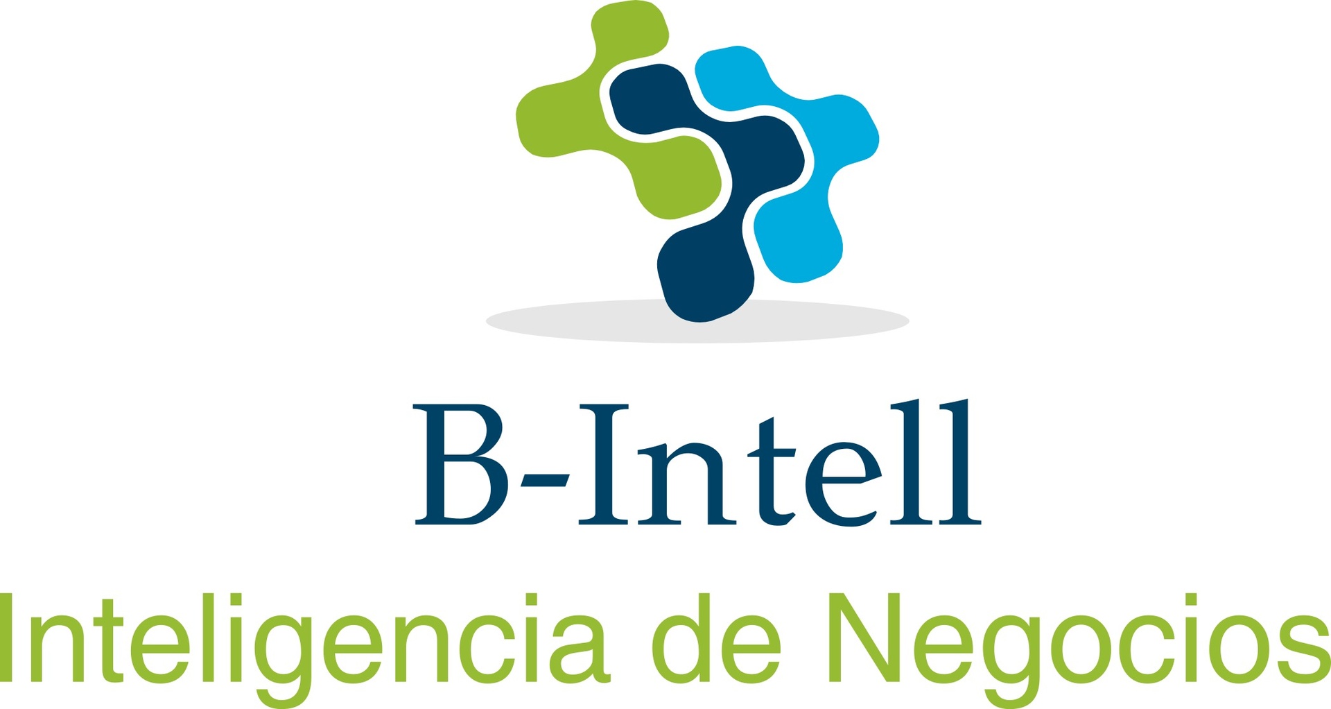 Bintell Inteligencia de Negocios SA