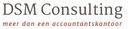 D.S.M. CONSULTING NV