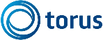 Torus Finance Consulting