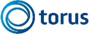 Torus Finance Consulting