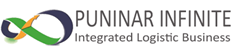 PT Puninar Infinite Raya