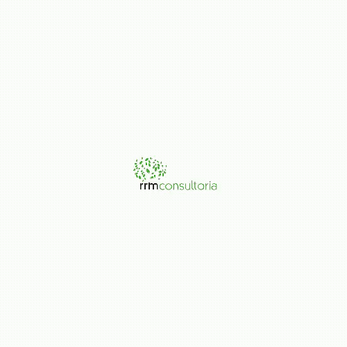 Remote Resolution Method Consultoria S.L.