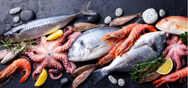 Ocean'S Link Fresh And Frozen Seafoo