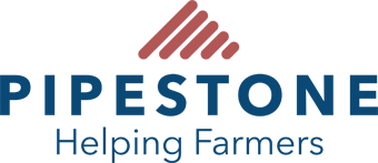 PIPESTONE INTERNATIONAL