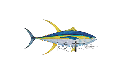 Kentuna Limited