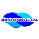 Shellfish del Caribe SC, SRL