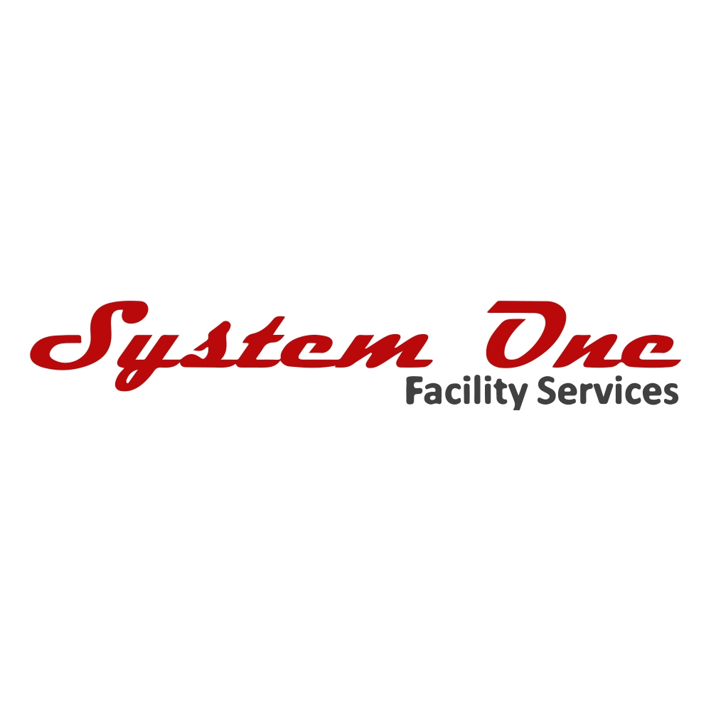 System One