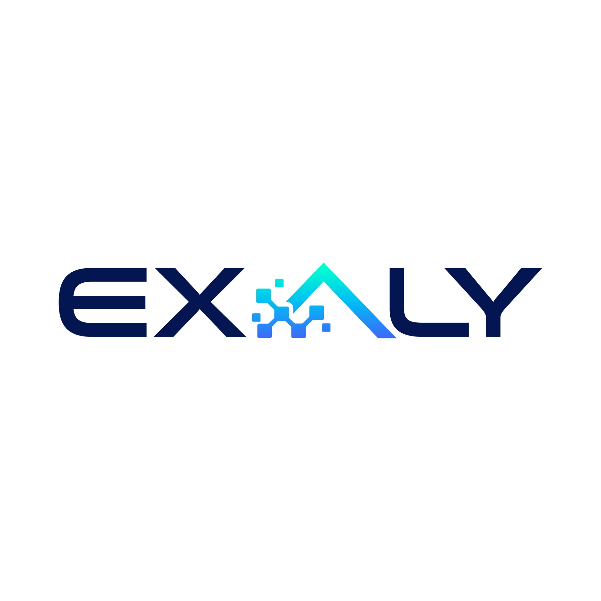Exaly, Renaud De Boeck