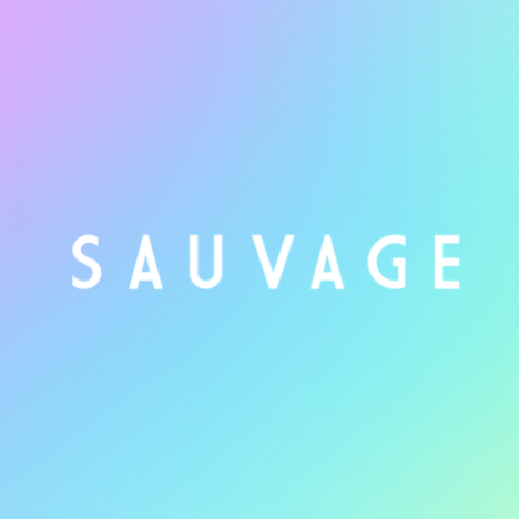 ALAN TOUCHARD - SAUVAGE