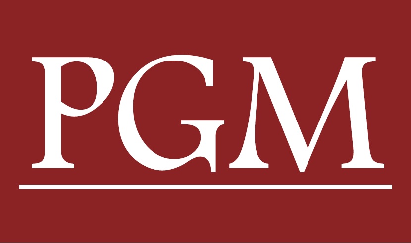 PGM Auditores & Consultores