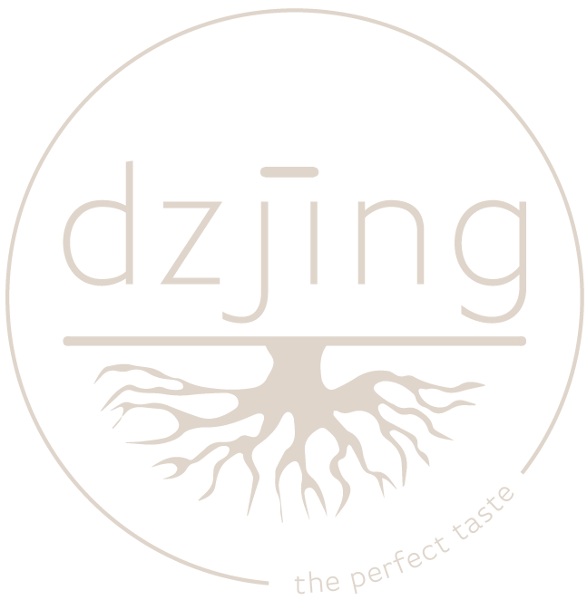 Dzjing BV