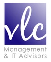Vincent Lion Consulting SPRL