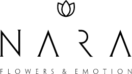 Nara SPRL