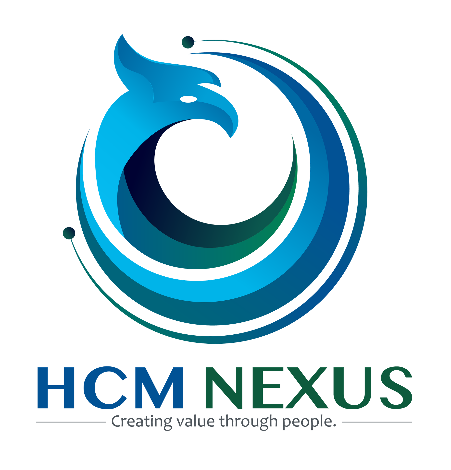 HCM Nexus Consulting