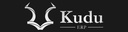 Kudu Solutions LLC