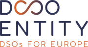 EU DSO Entity