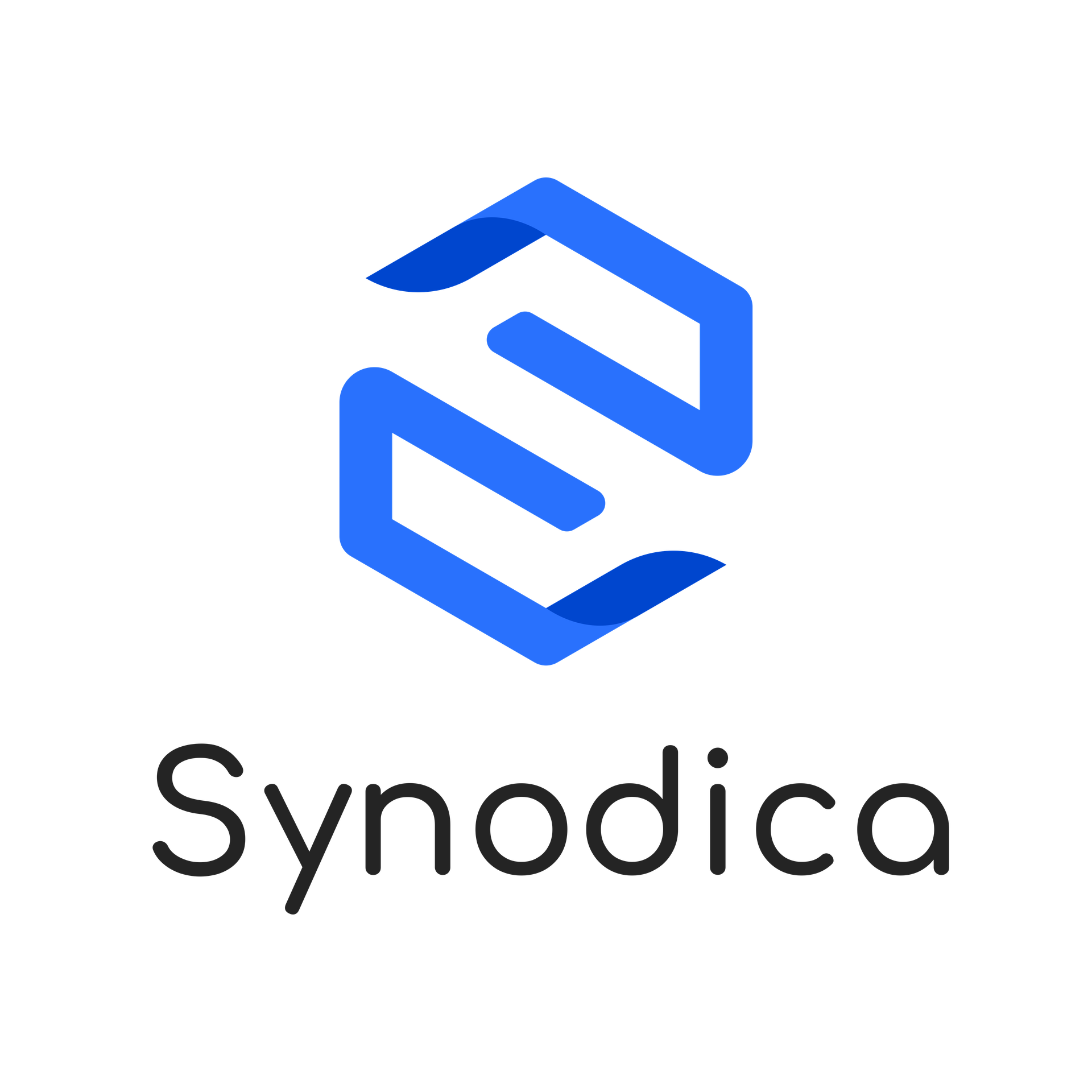 Synodica Solutions Pvt. Ltd.