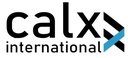 CALX International Auditing of Accounts