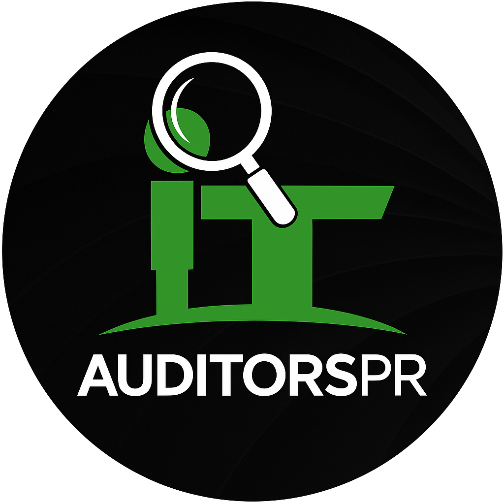 IT Auditors PR, Corp.