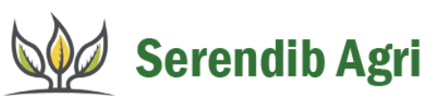 Serendib Trading Company